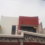 cerco olivos